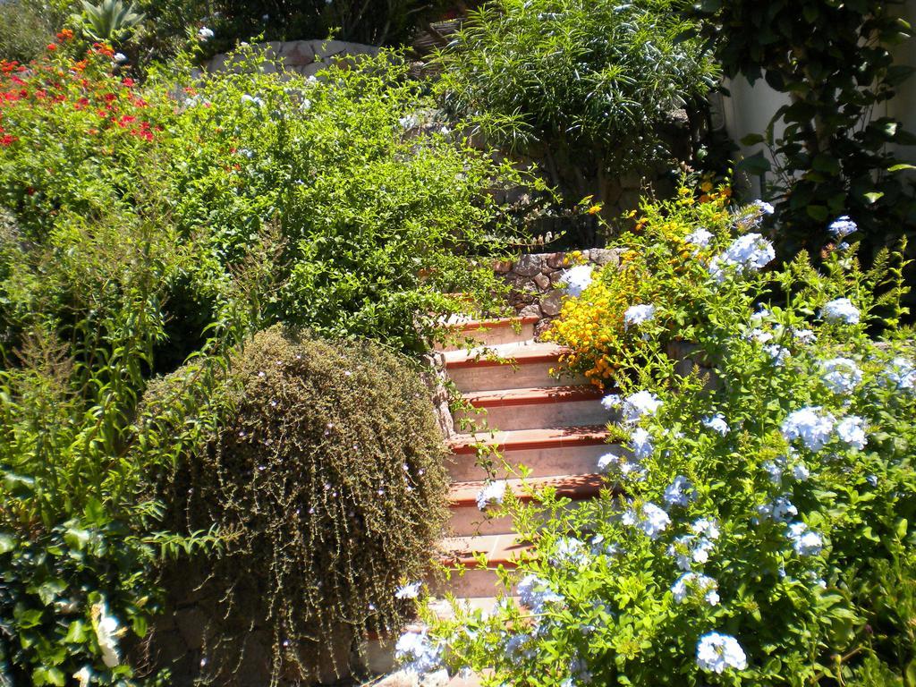 Casa U' Cucunciu Apartment Lipari  Cameră foto